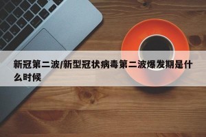 新冠第二波/新型冠状病毒第二波爆发期是什么时候